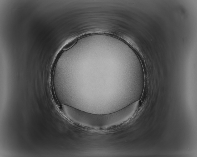 X0000082950797200703020148