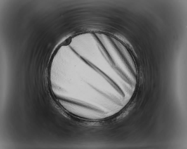 X0000082950798200703020148