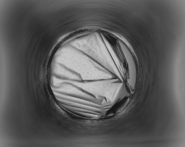 X0000082950799200703020148