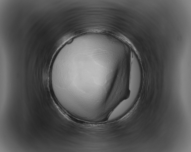 X0000082950802200703020148