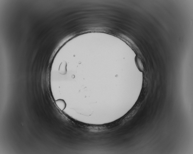 X0000082950804200703020148