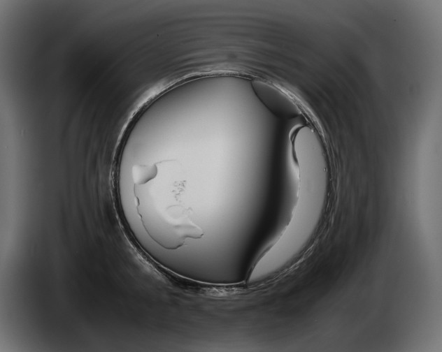 X0000082950805200703020148