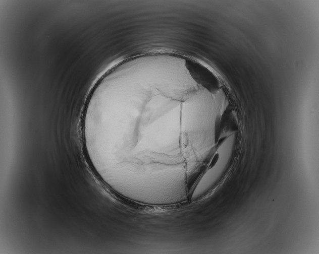 X0000082950806200703020148