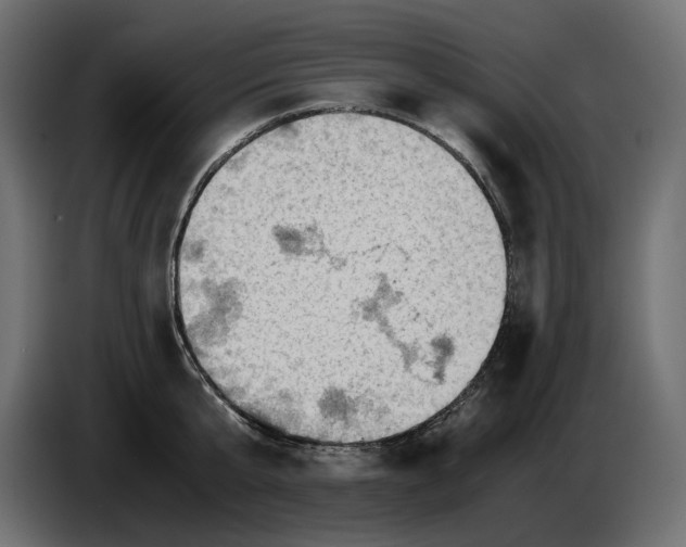 X0000082950807200703020148