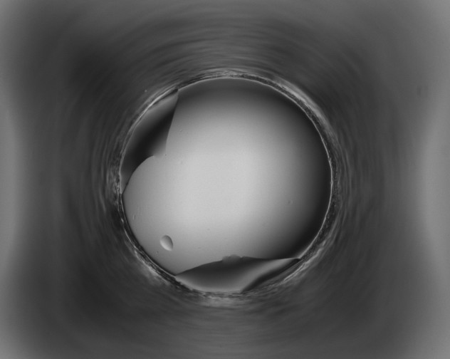 X0000082950809200703020148