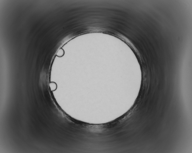 X0000082950810200703020148