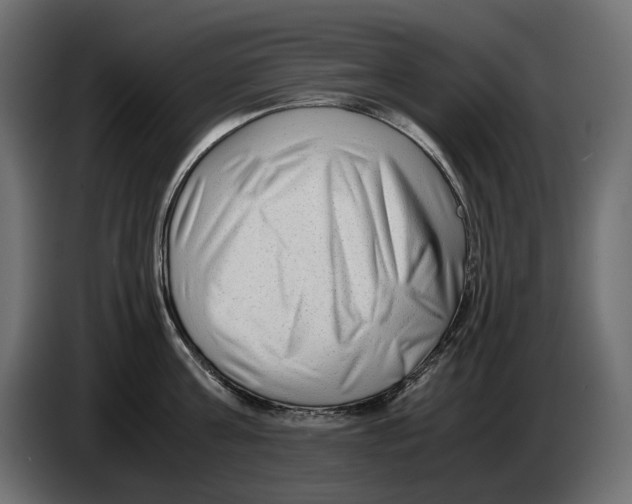 X0000082950811200703020148