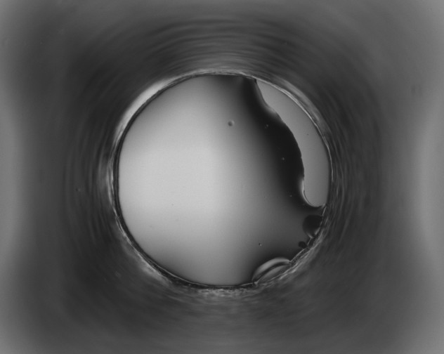 X0000082950812200703020148