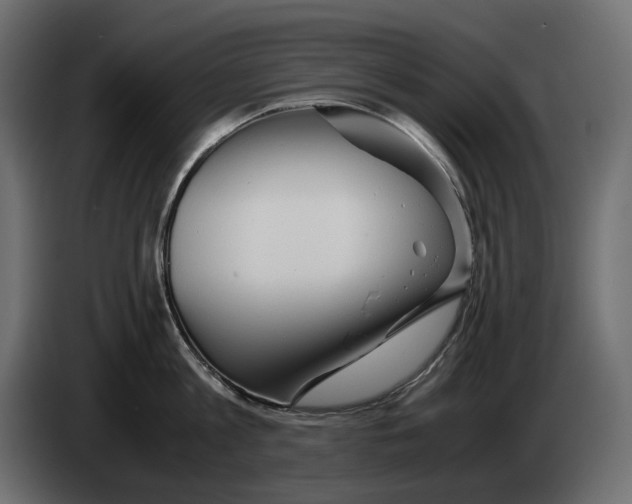 X0000082950813200703020148