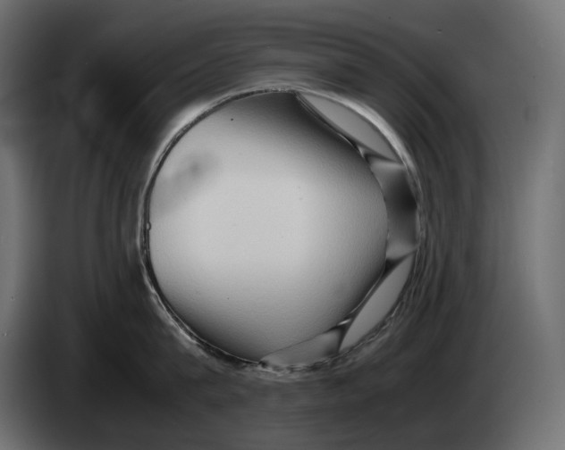 X0000082950815200703020148