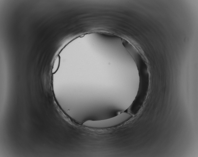 X0000082950816200703020148