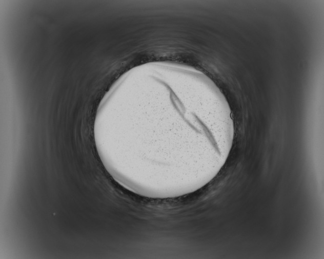 X0000082950817200703020147