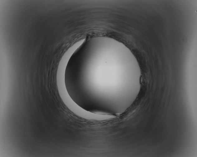 X0000082950818200703020147