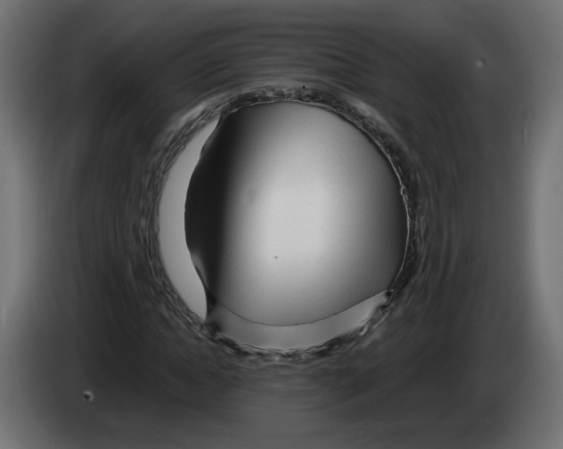 X0000082950822200703020147