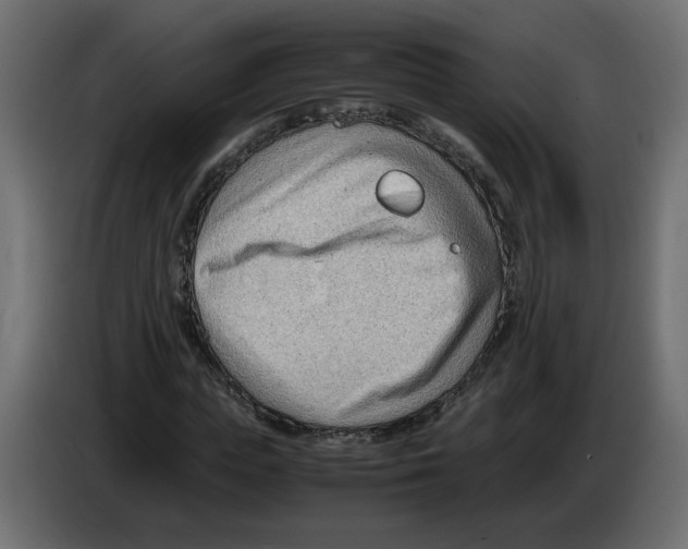 X0000082950823200703020147