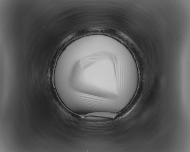 X0000082950825200703020147