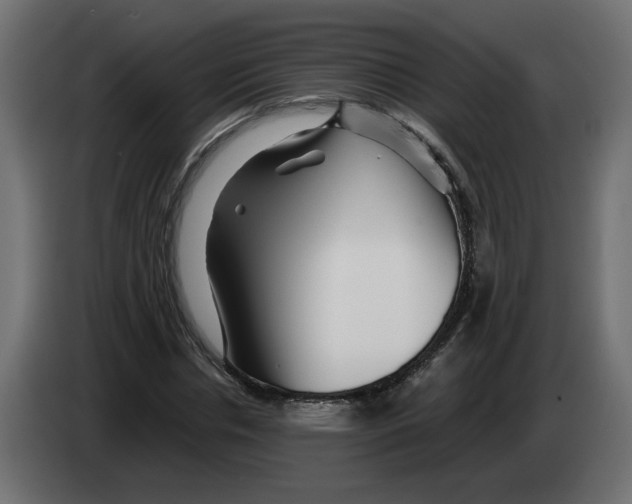 X0000082950826200703020147