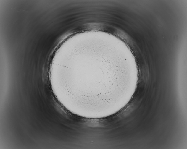 X0000082950828200703020147