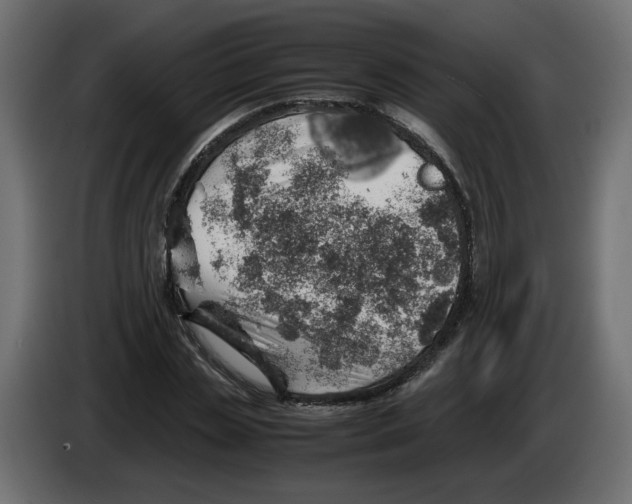 X0000082950829200703020147