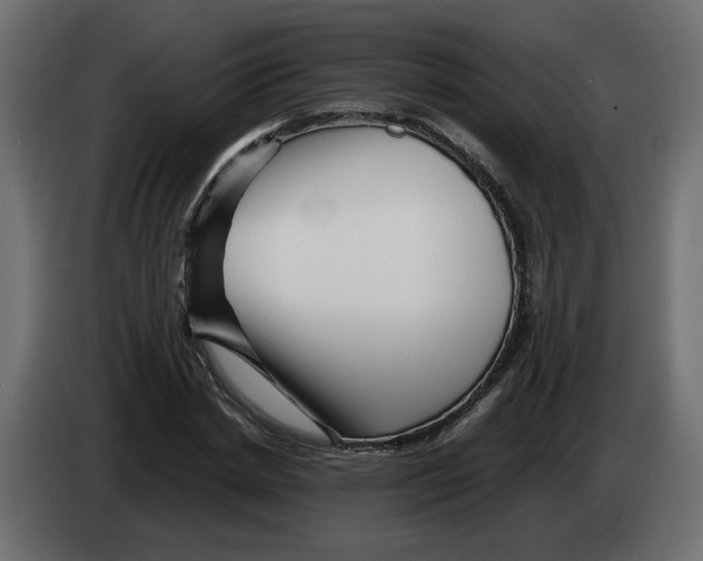 X0000082950830200703020147