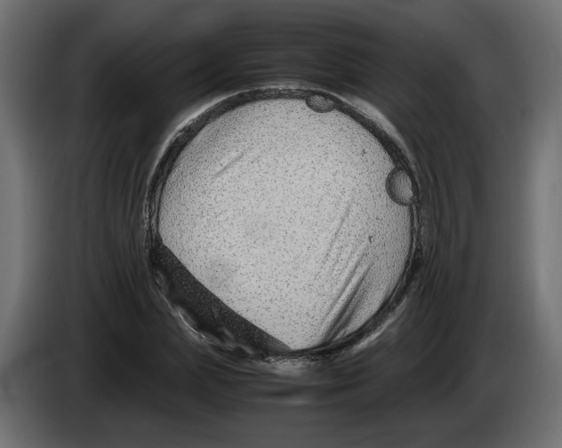 X0000082950831200703020147