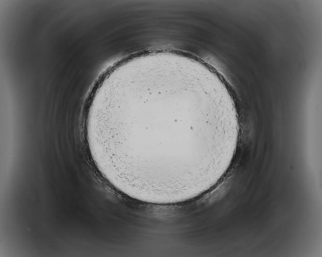 X0000082950832200703020147