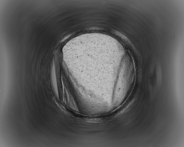 X0000082950833200703020147