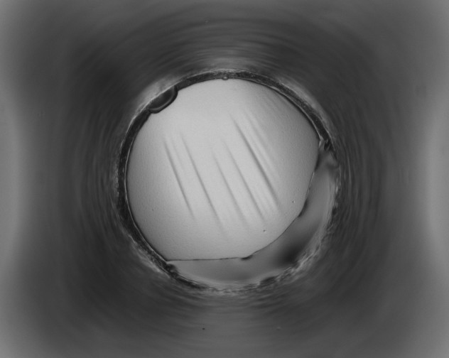 X0000082950834200703020147