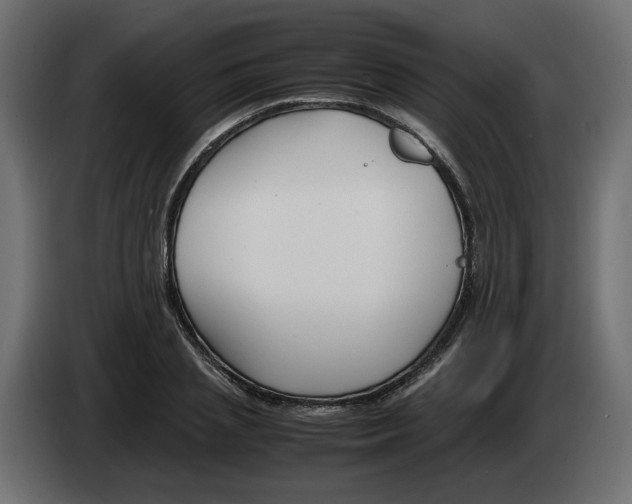 X0000082950837200703020147