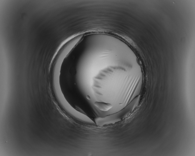 X0000082950838200703020147