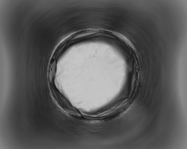 X0000082950839200703020148