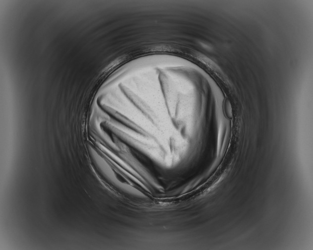 X0000082950841200703020148