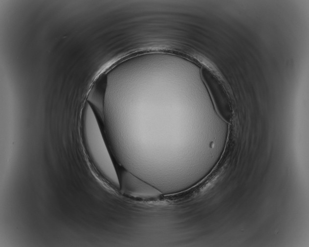 X0000082950842200703020148