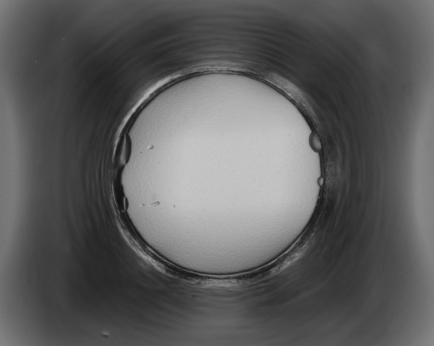 X0000082950844200703020148