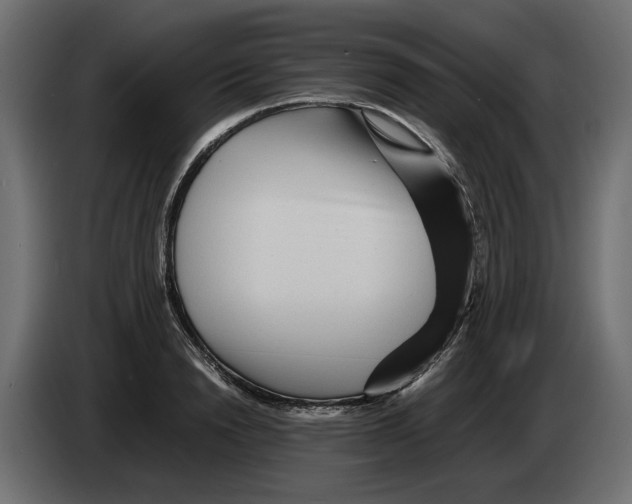 X0000082950846200703020148