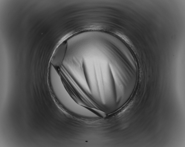 X0000082950850200703020148