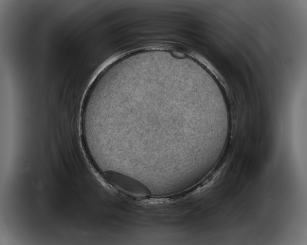 X0000082950853200703020148