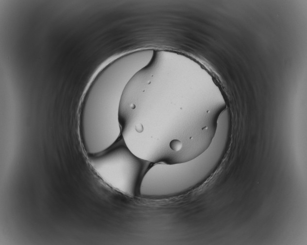 X0000082950854200703020148