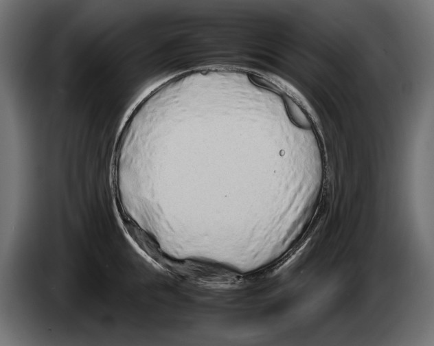 X0000082950855200703020148