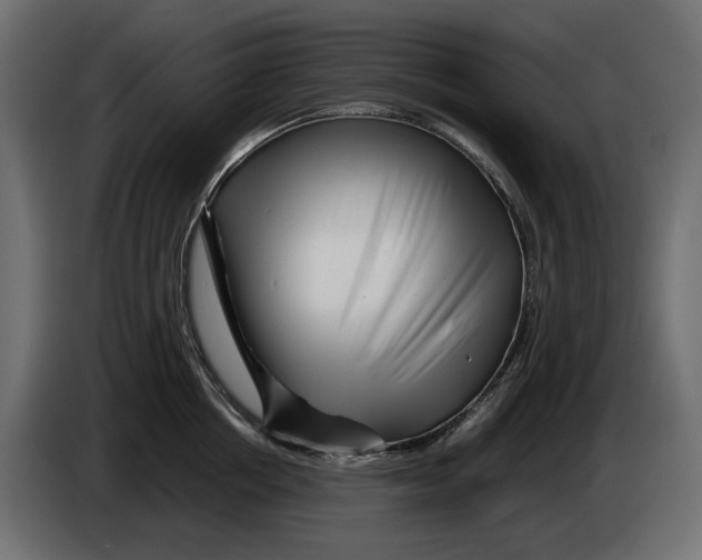 X0000082950858200703020148