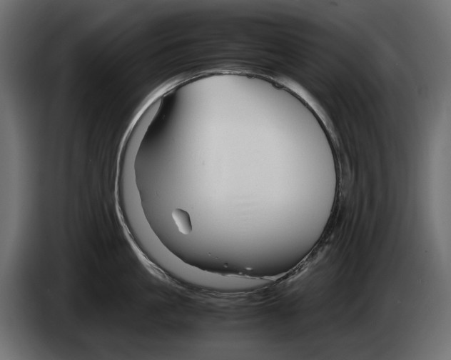 X0000082950861200703020148