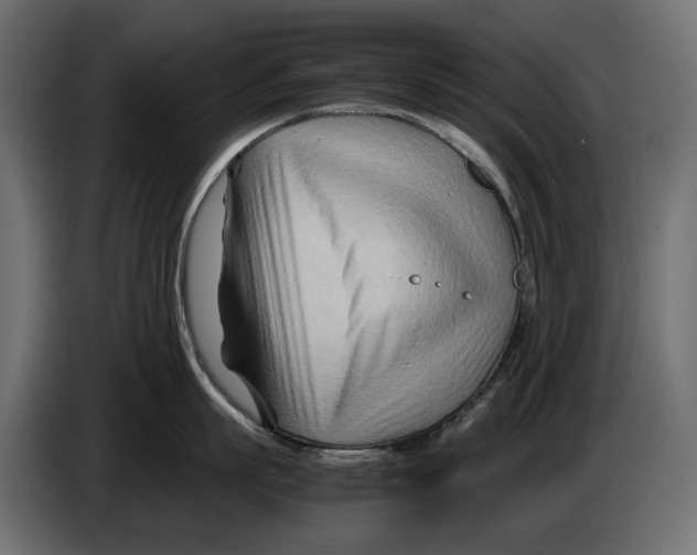 X0000082950863200703020148