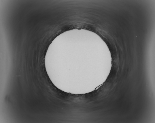 X0000082950865200703020147