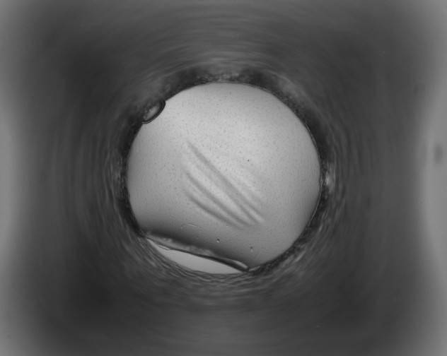 X0000082950867200703020147