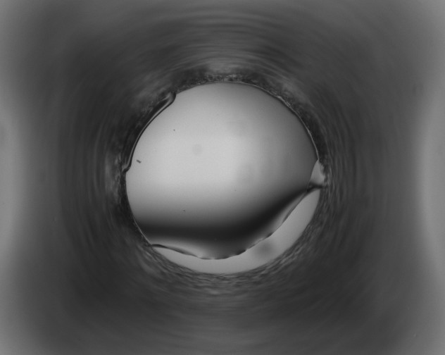 X0000082950868200703020147