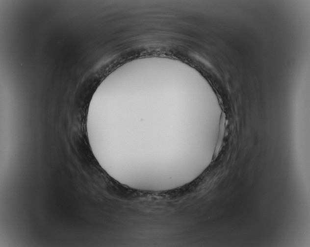 X0000082950869200703020147