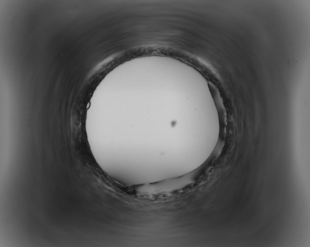 X0000082950872200703020147