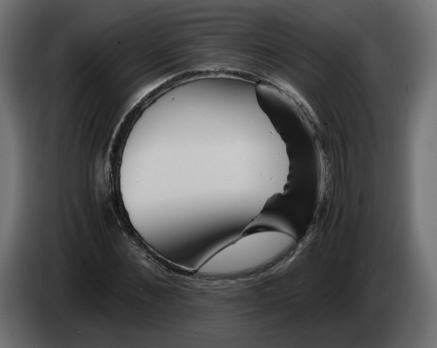 X0000082950876200703020147