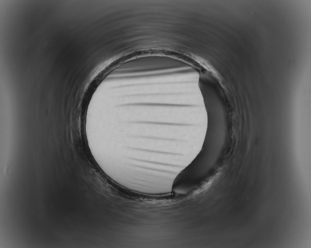 X0000082950877200703020147