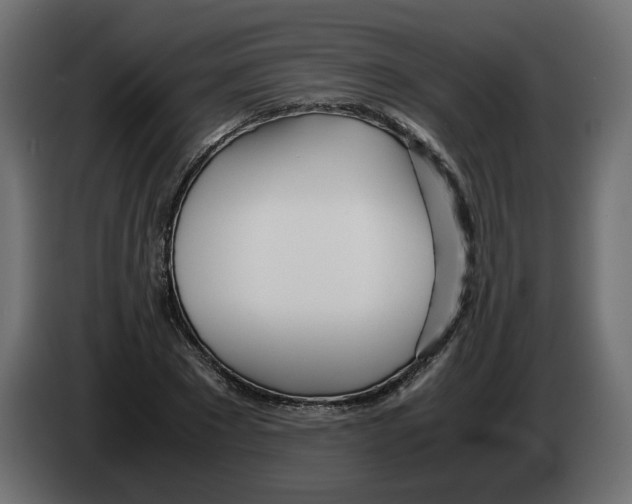 X0000082950881200703020147